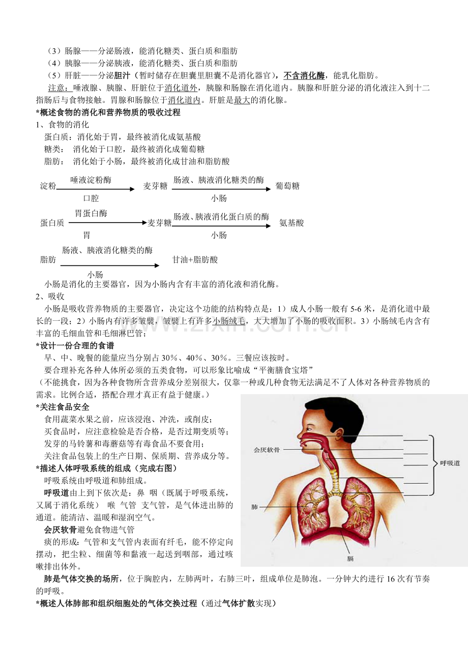 七下复习生物提纲.doc_第3页