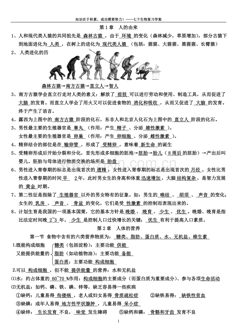 七年级生物下学期复习试题.doc_第1页