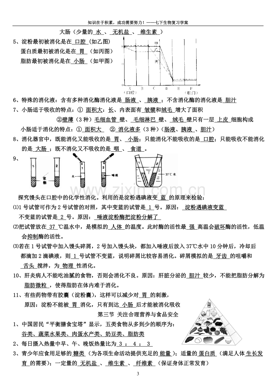 七年级生物下学期复习试题.doc_第3页