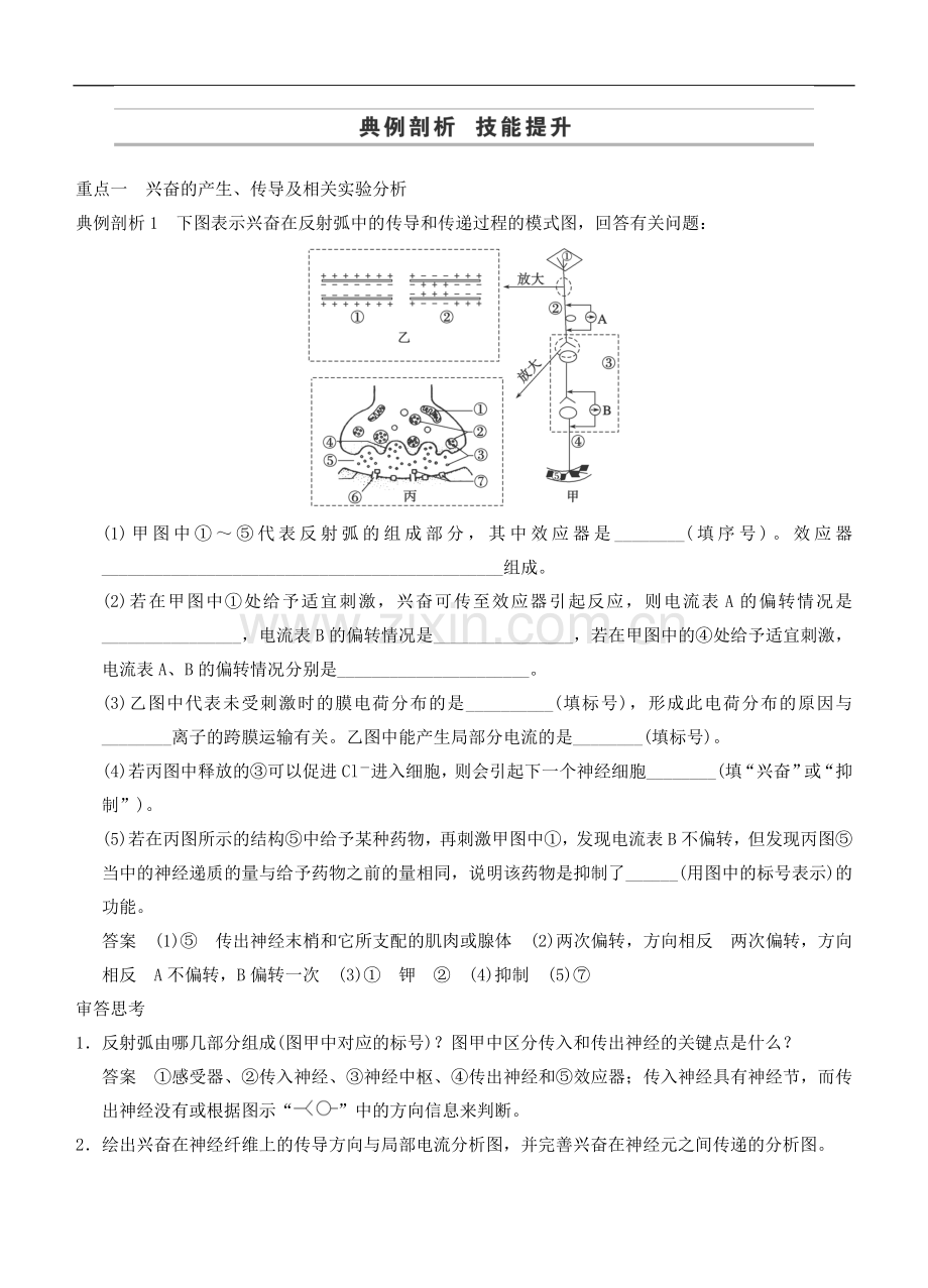 2015届高三生物二轮同步训练：《人和动物生命活动的调节》.doc_第3页