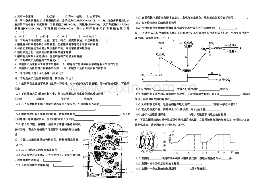 高三生物(必修一)综合测试题(一) 高三 生物.doc_第3页