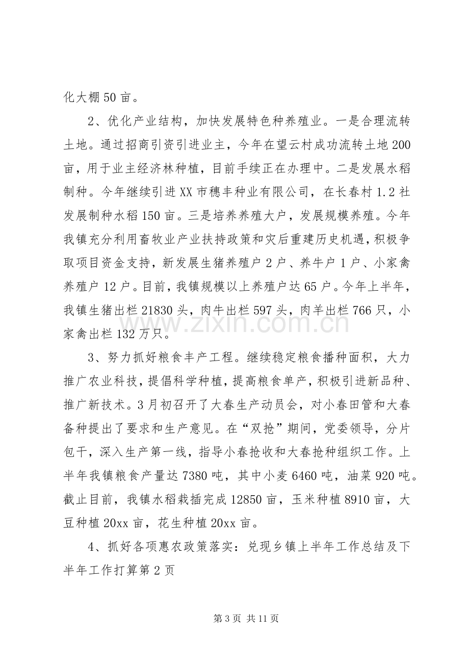 乡镇上半年工作总结及下半年工作打算_1.docx_第3页