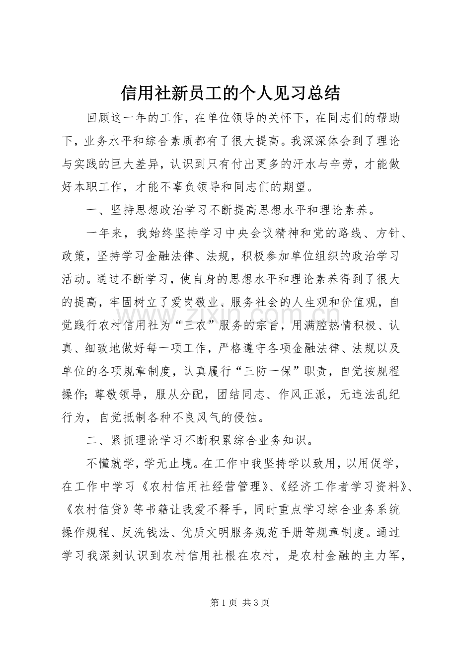 信用社新员工的个人见习总结.docx_第1页