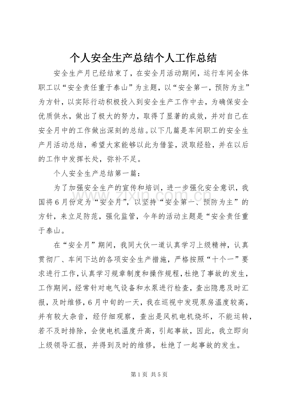 个人安全生产总结个人工作总结.docx_第1页