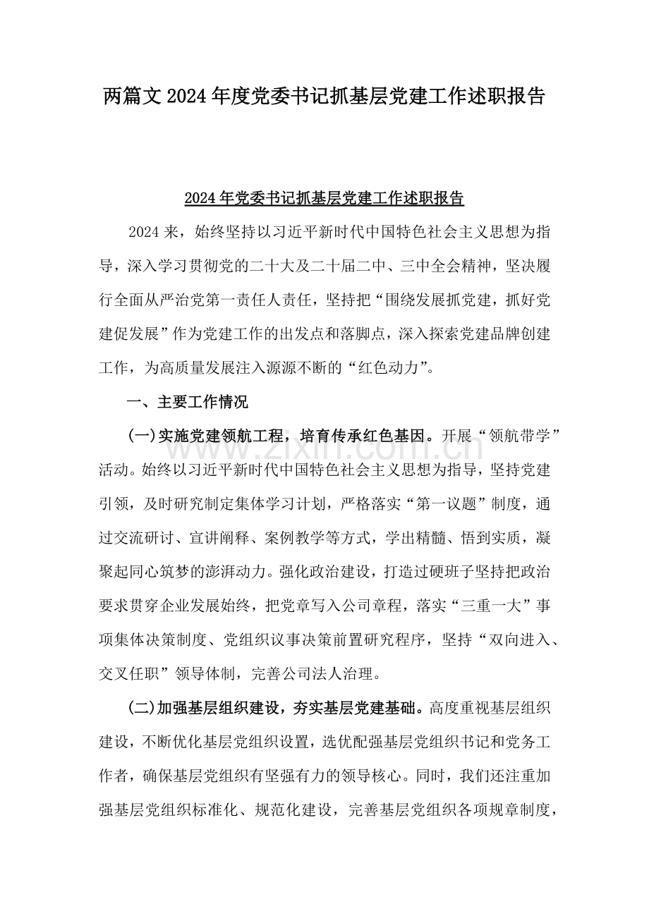 两篇文2024年度党委书记抓基层党建工作述职报告.docx_第1页