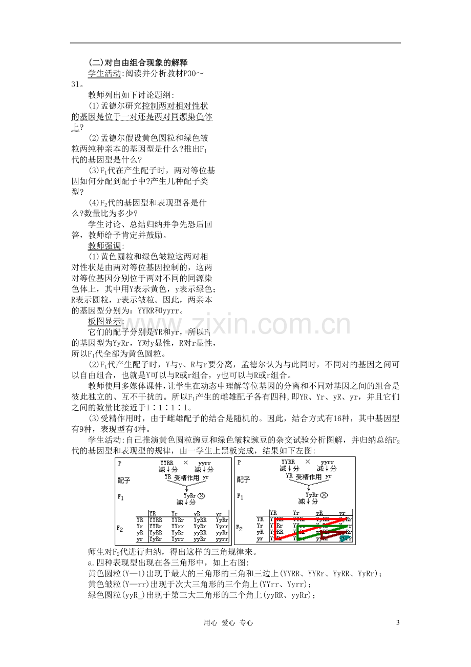 高中生物-自由组合定1教案-浙科版必修2.doc_第3页