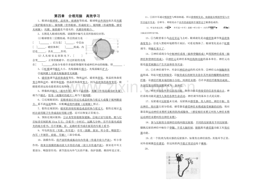 七下生物复习提纲2.doc_第1页