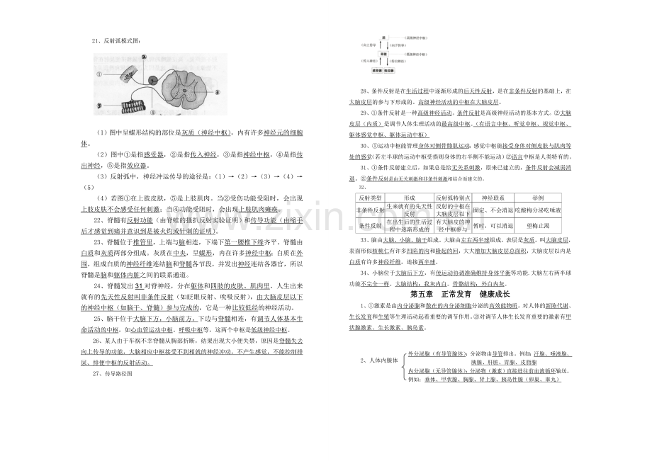 七下生物复习提纲2.doc_第2页