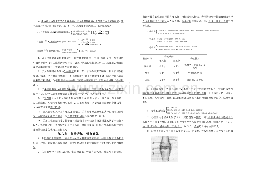 七下生物复习提纲2.doc_第3页