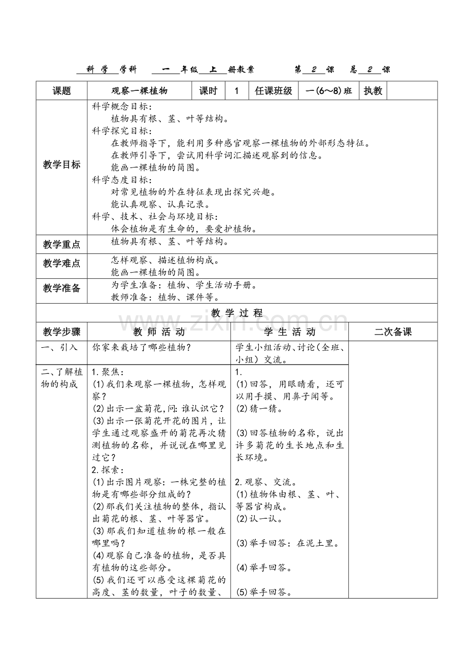 2017教科版一年级科学上册《观察一棵植物》教案.docx_第1页