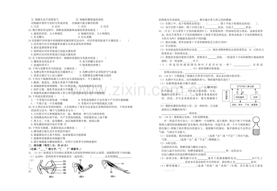 八年级上册测试（二）.doc_第2页