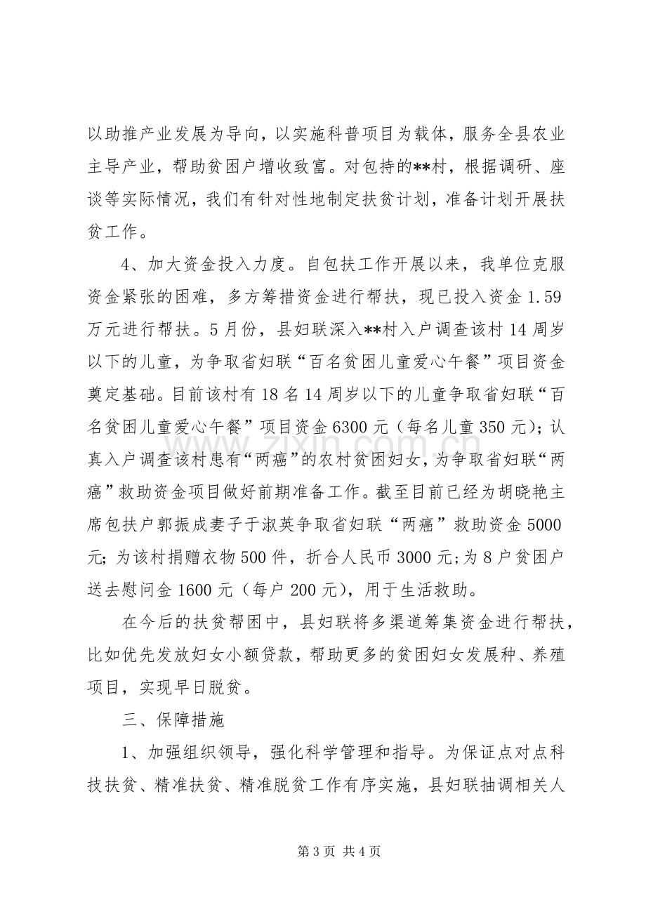 县妇联XX年上半年扶贫总结.docx_第3页