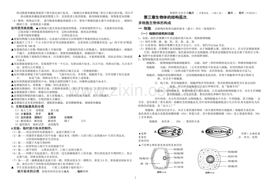 初一生物上复习提纲(自己整理).doc_第2页