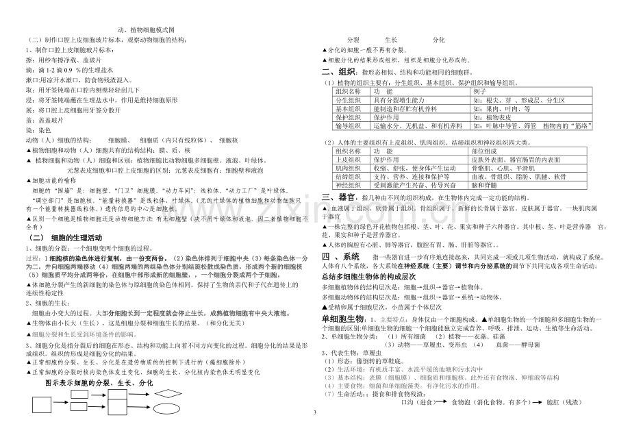 初一生物上复习提纲(自己整理).doc_第3页