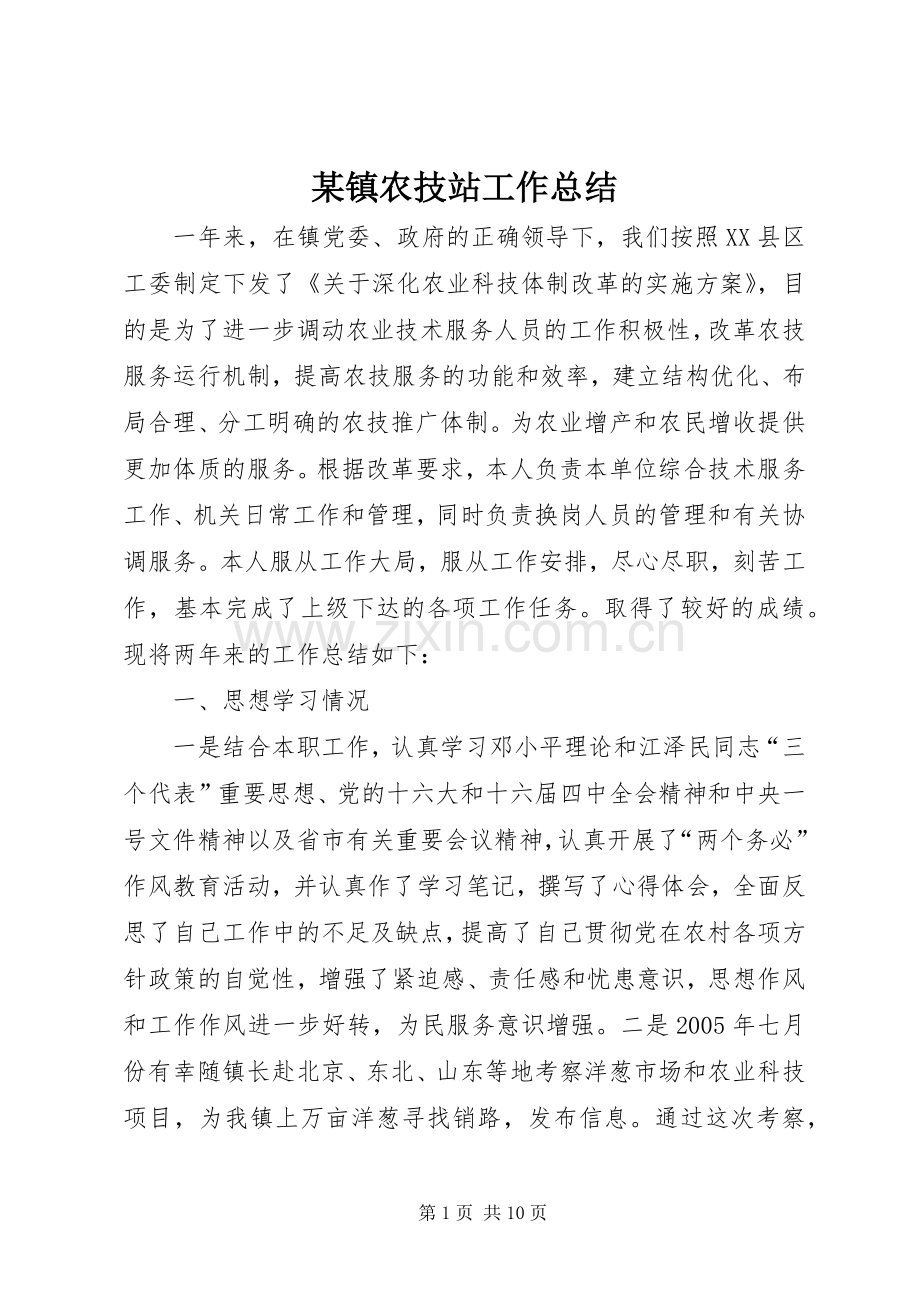 某镇农技站工作总结 .docx_第1页