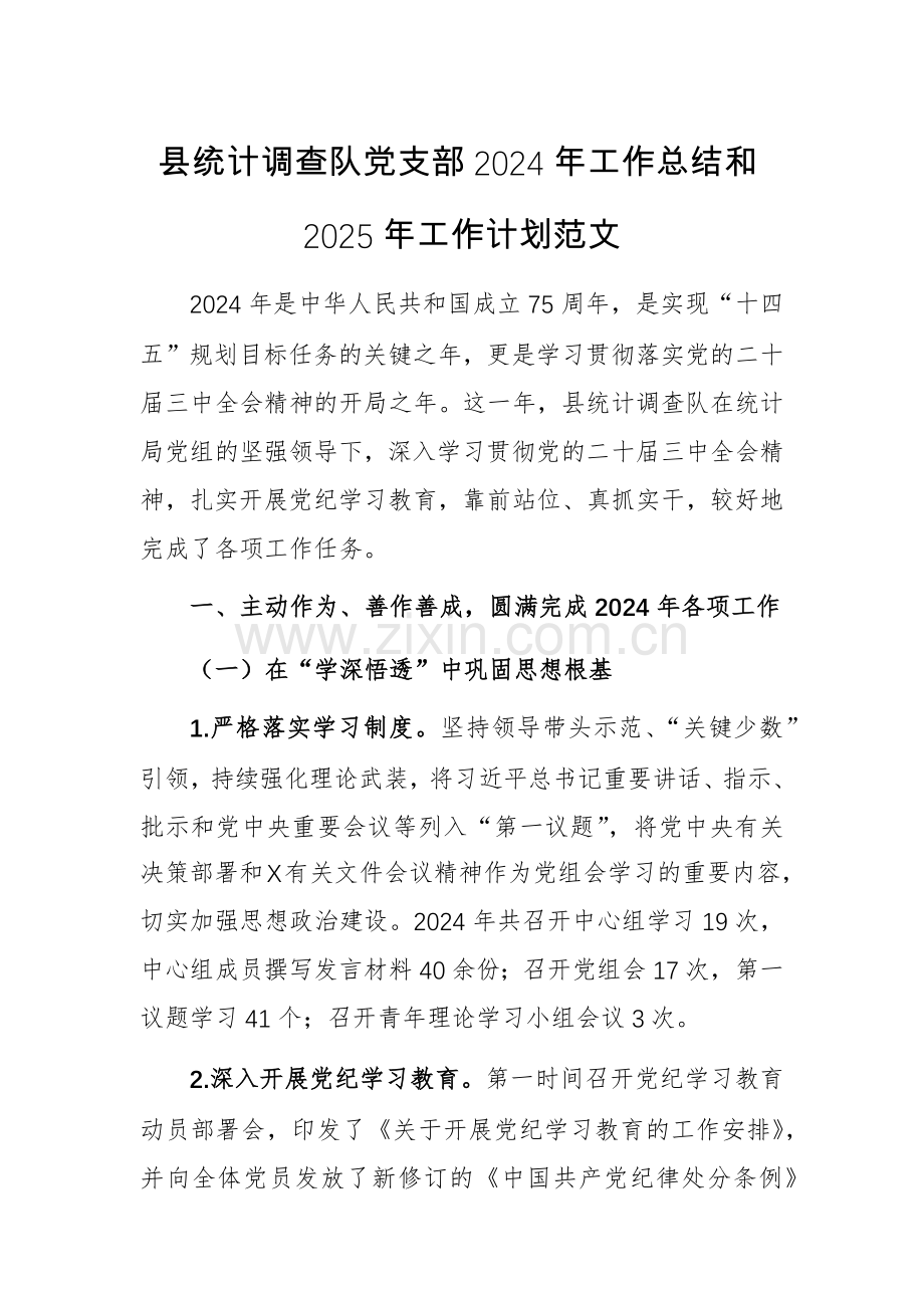 统计调查队党支部2024年工作总结和2025年工作计划范文.docx_第1页