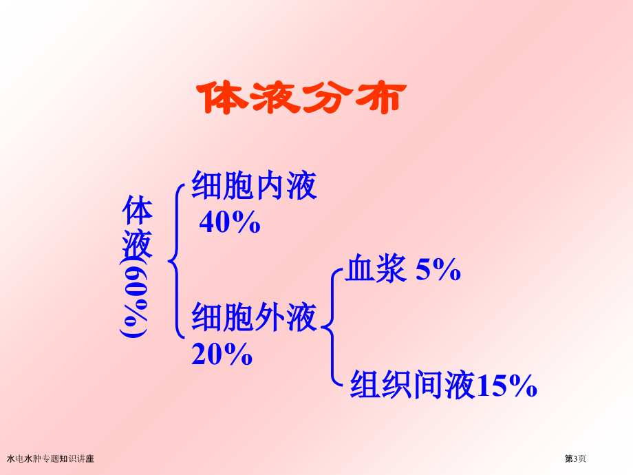 水电水肿专题知识讲座.pptx_第3页