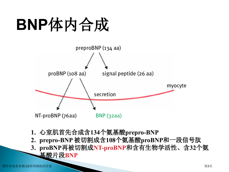 慢性肾衰患者测定b型利钠肽的价值.pptx_第3页