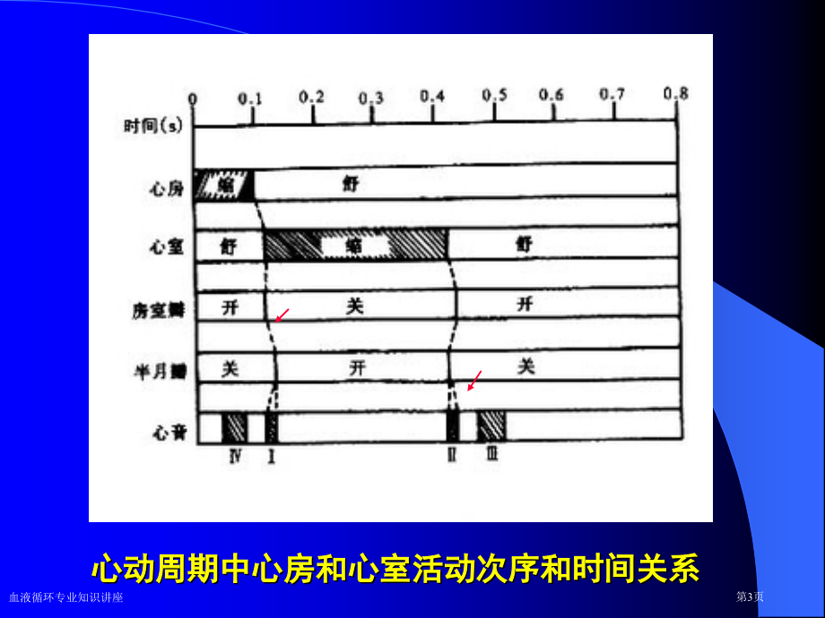 血液循环专业知识讲座.pptx_第3页