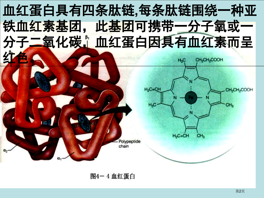 人教版教学生物选修1之蛋白质的提取和分离公开课获奖课件.pptx_第2页