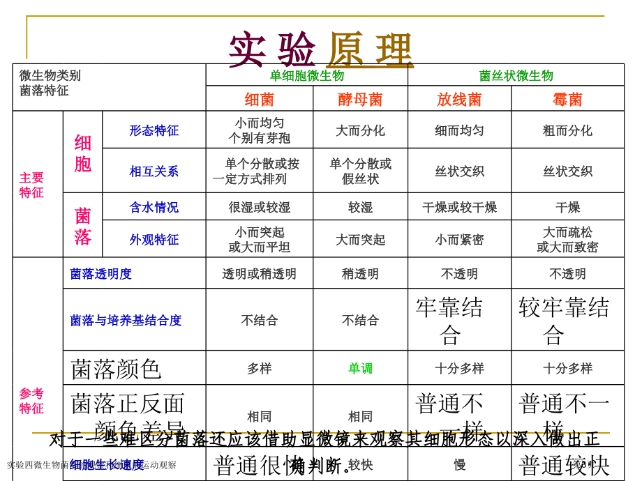 实验四微生物菌落的观察和细菌的运动观察.pptx_第3页