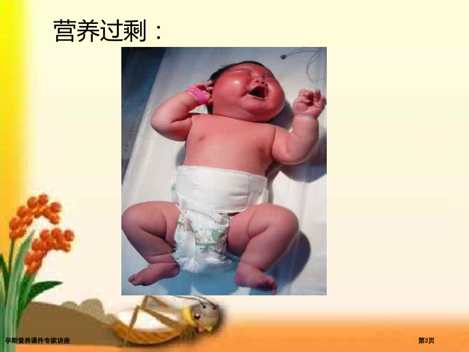 孕期营养课件专家讲座.pptx_第3页