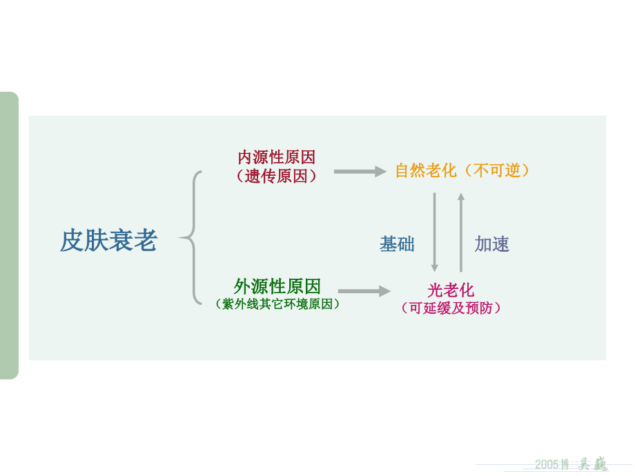 皮肤的保养专题知识讲座.pptx_第3页