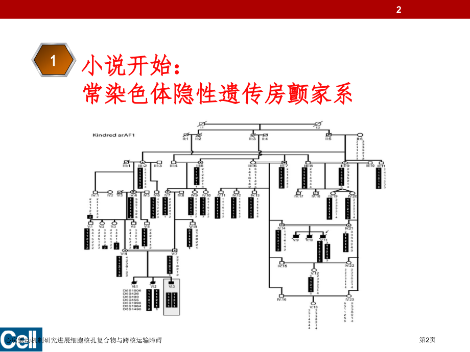 心房颤动机制研究进展细胞核孔复合物与跨核运输障碍.pptx_第2页