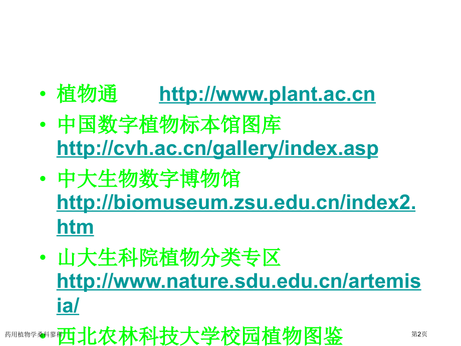 药用植物学桑科蓼科.pptx_第2页