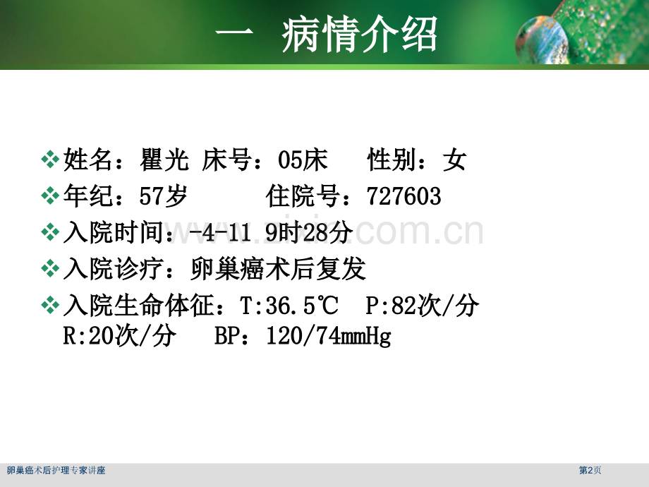 卵巢癌术后护理专家讲座.pptx_第2页