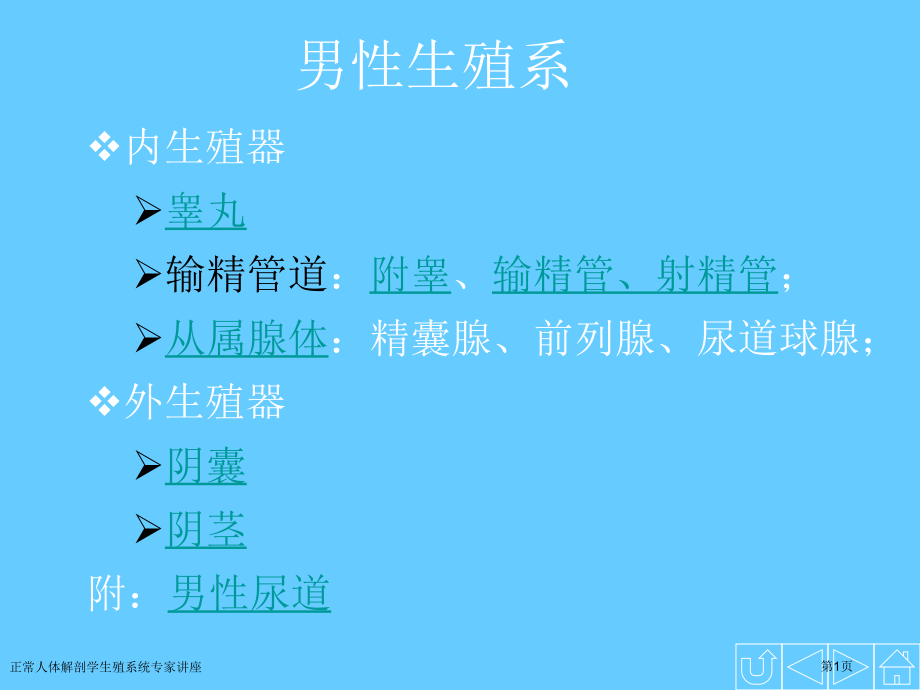 正常人体解剖学生殖系统专家讲座.pptx_第1页