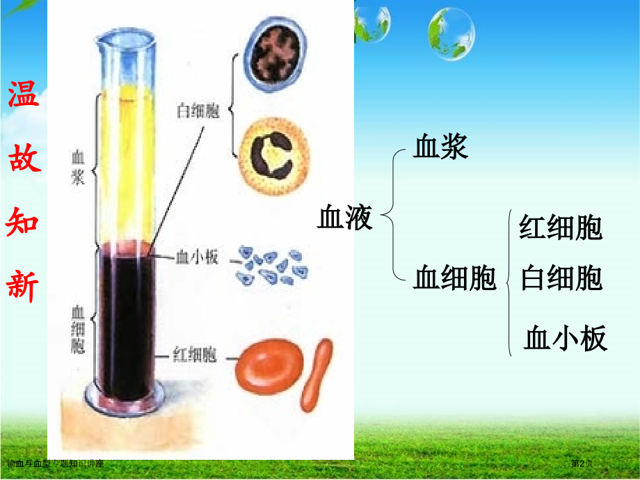 输血与血型专题知识讲座.pptx_第2页