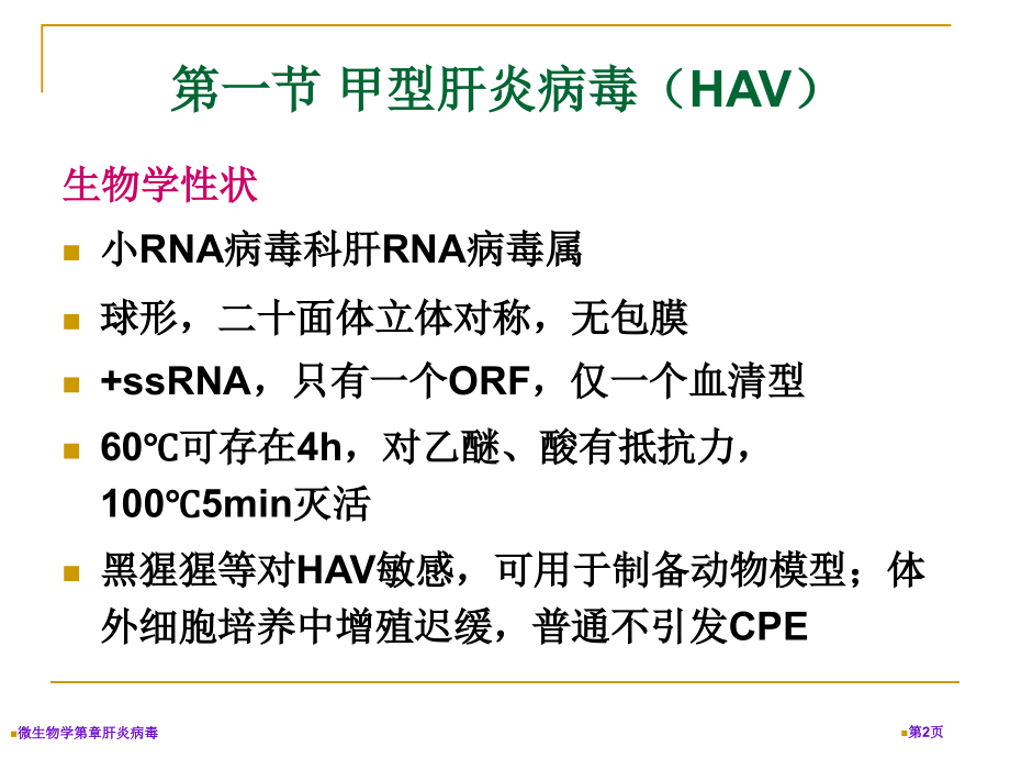 微生物学第章肝炎病毒.pptx_第2页