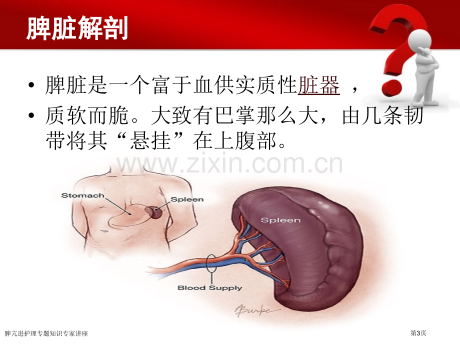 脾亢进护理专题知识专家讲座.pptx_第3页