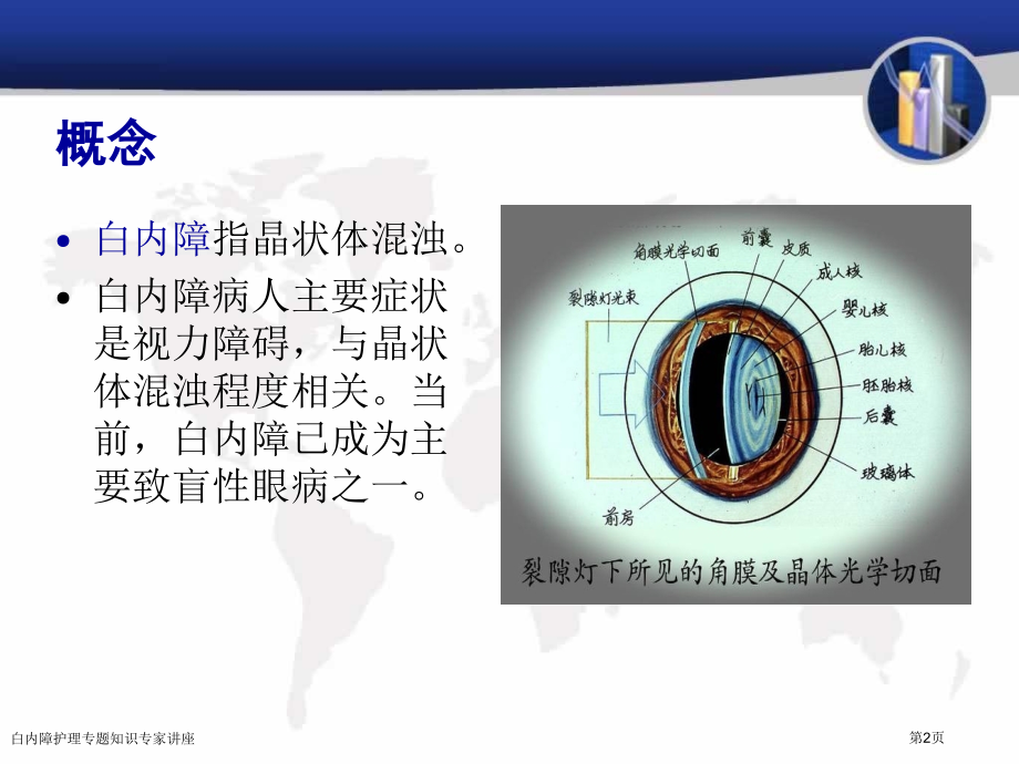 白内障护理专题知识专家讲座.pptx_第2页