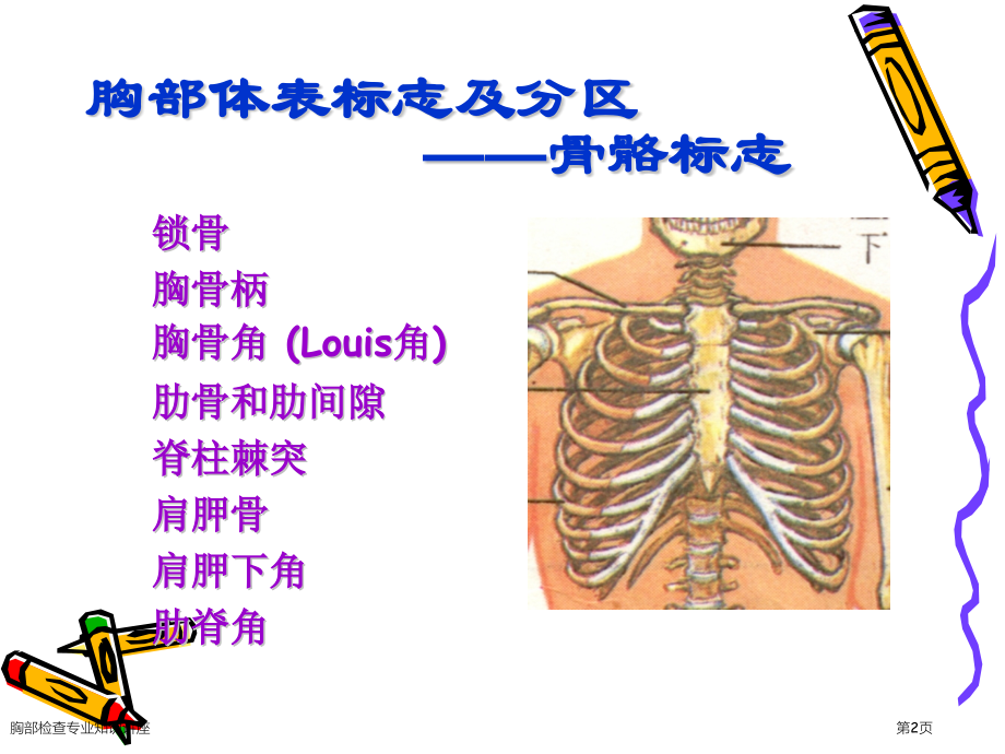 胸部检查专业知识讲座.pptx_第2页