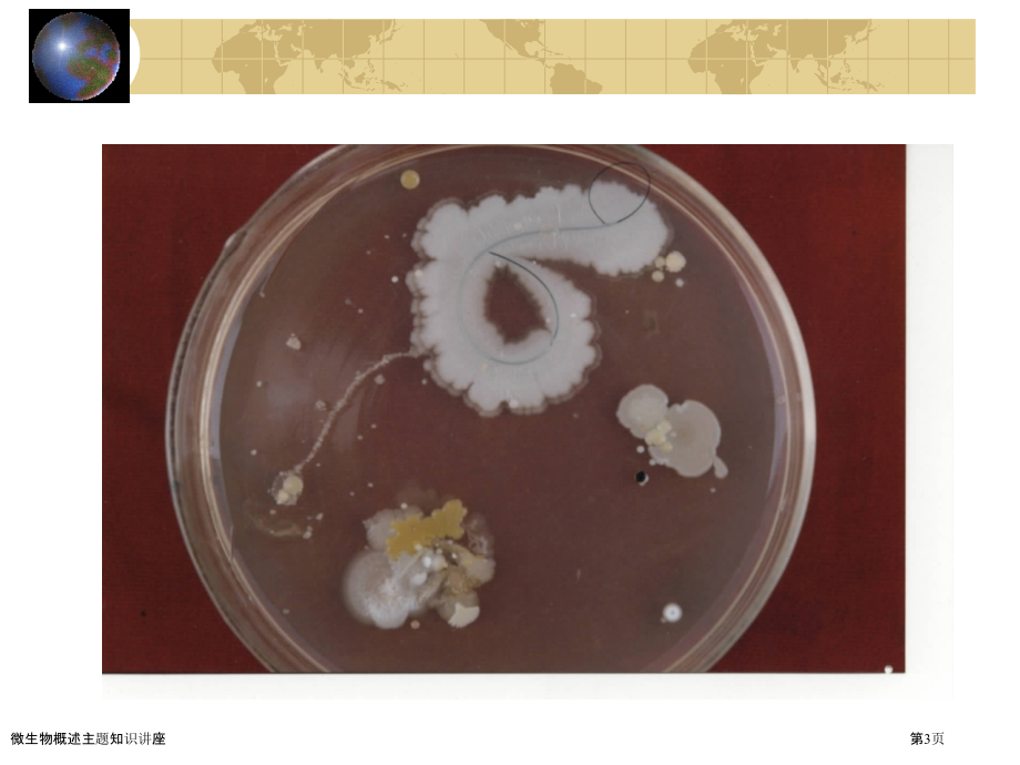 微生物概述主题知识讲座.pptx_第3页