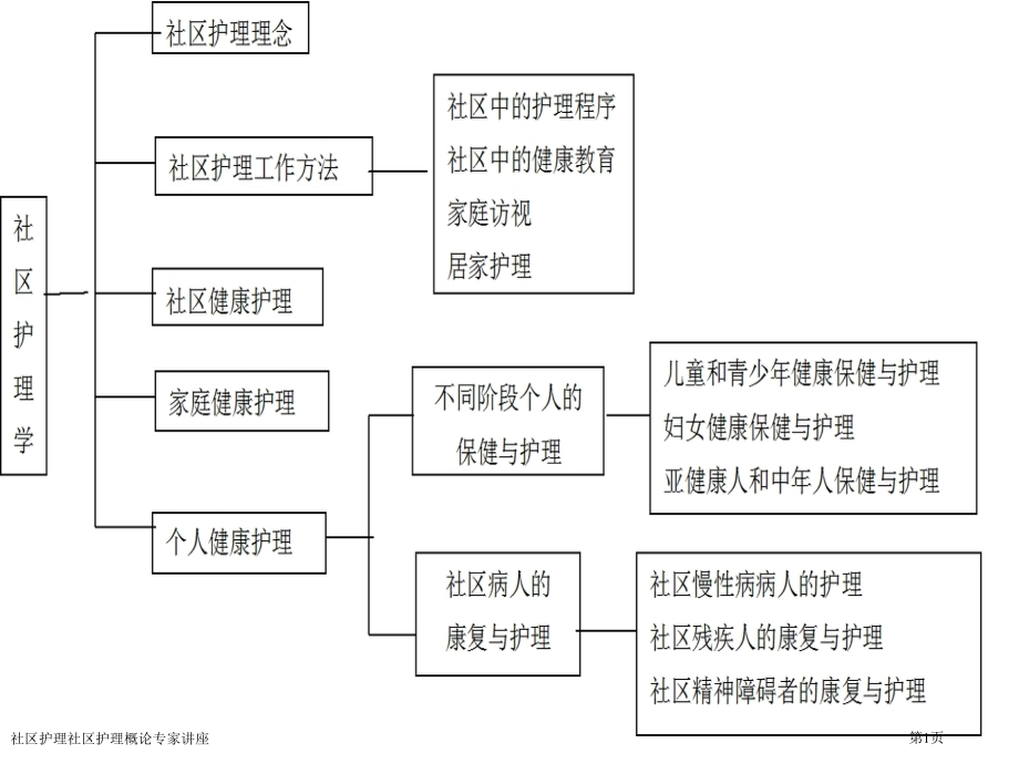 社区护理社区护理概论专家讲座.pptx_第1页