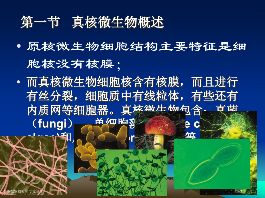 真核微生物专家专家讲座.pptx_第3页