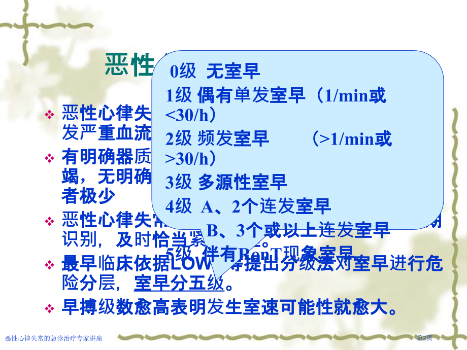 恶性心律失常的急诊治疗专家讲座.pptx_第2页