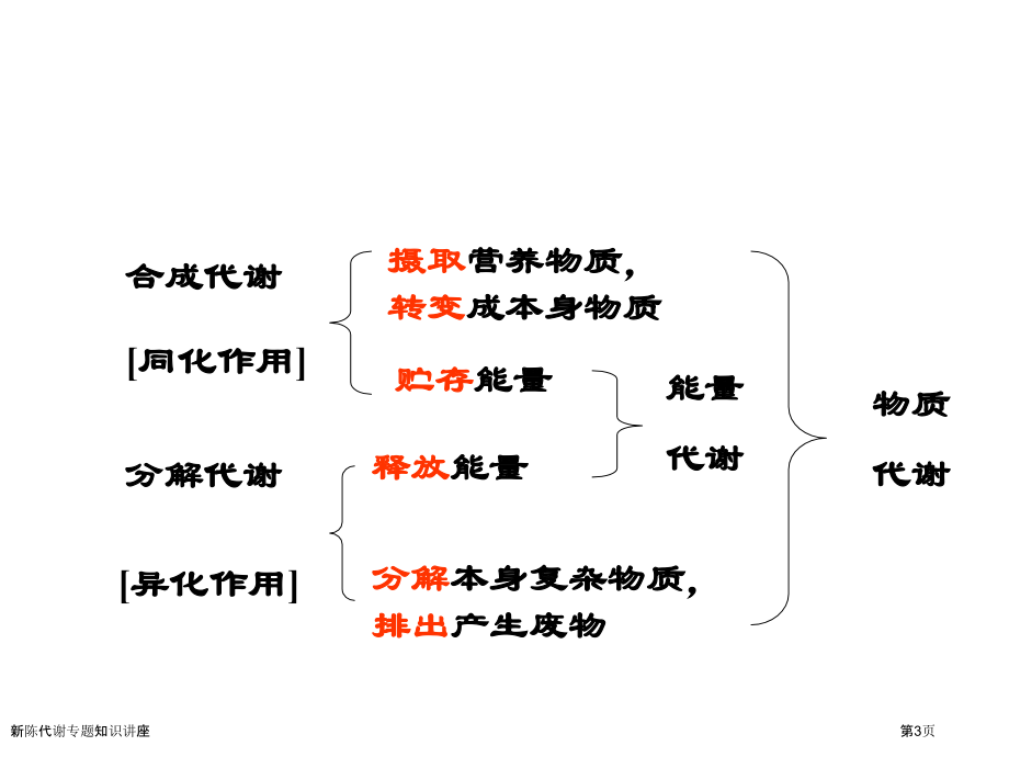 新陈代谢专题知识讲座.pptx_第3页