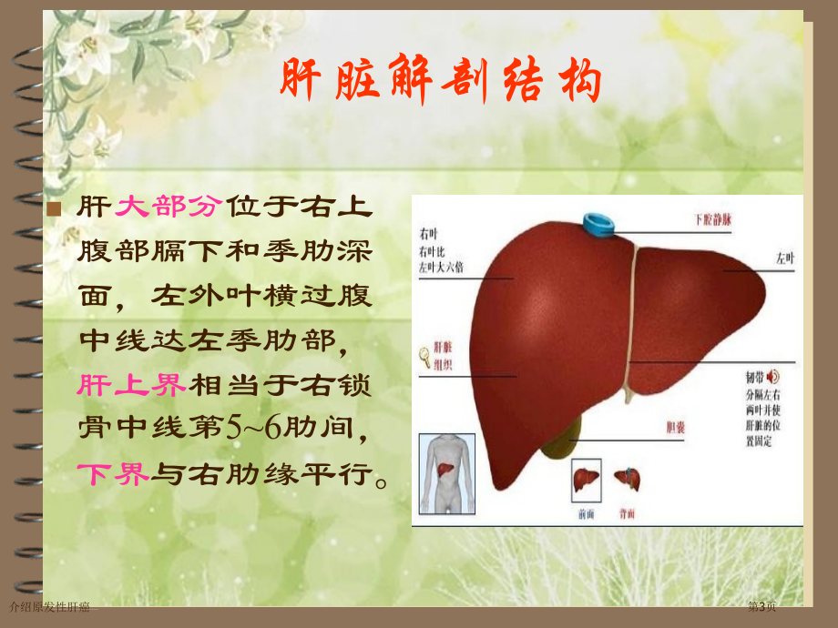 介绍原发性肝癌.pptx_第3页