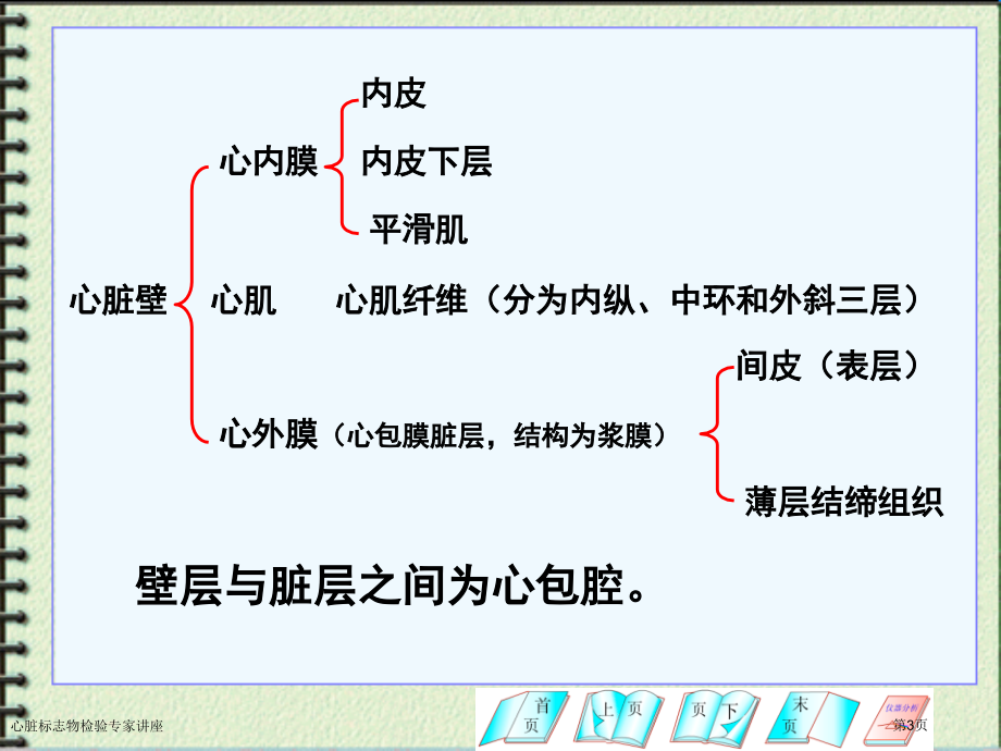 心脏标志物检验专家讲座.pptx_第3页