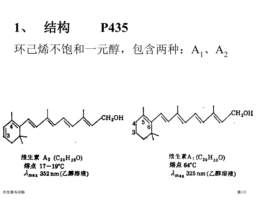 维生素与辅酶.pptx_第3页