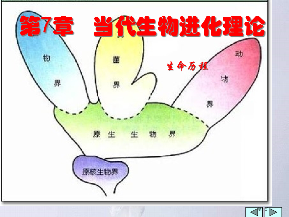 现代生物进化理论市公开课金奖市赛课一等奖课件.pptx_第1页