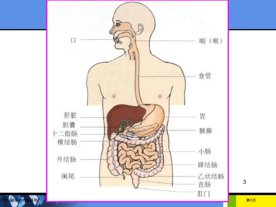 胃肠道疾病的家庭用药.pptx_第3页