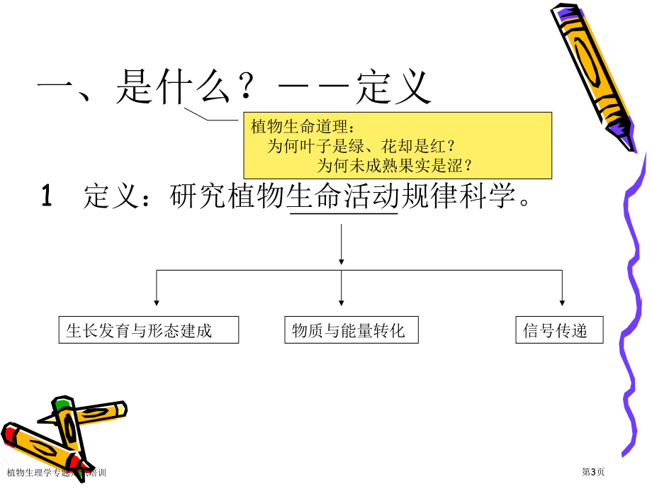 植物生理学专题知识培训.pptx_第3页