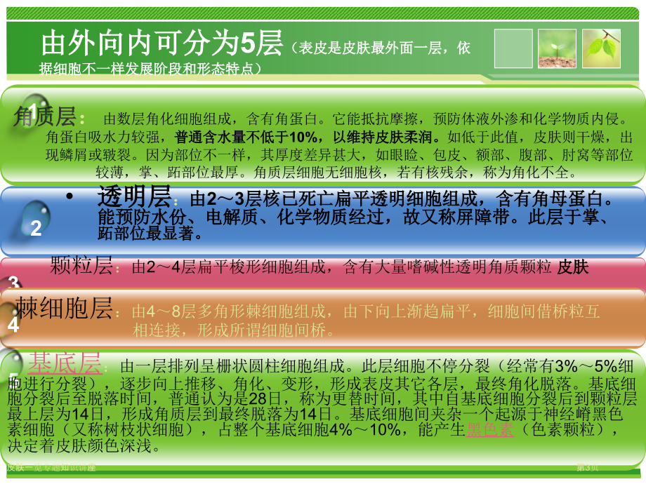 皮肤一览专题知识讲座.pptx_第3页