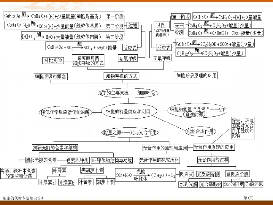 细胞的代谢专题知识培训.pptx_第3页