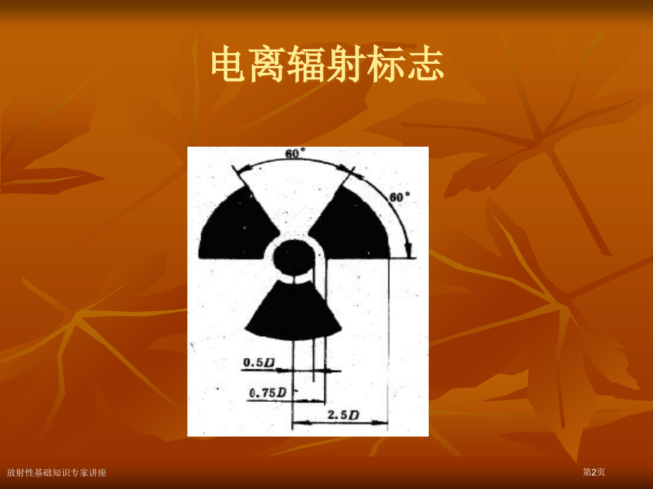 放射性基础知识专家讲座.pptx_第2页